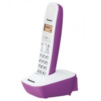 Panasonic KX-TG1611 foy 1